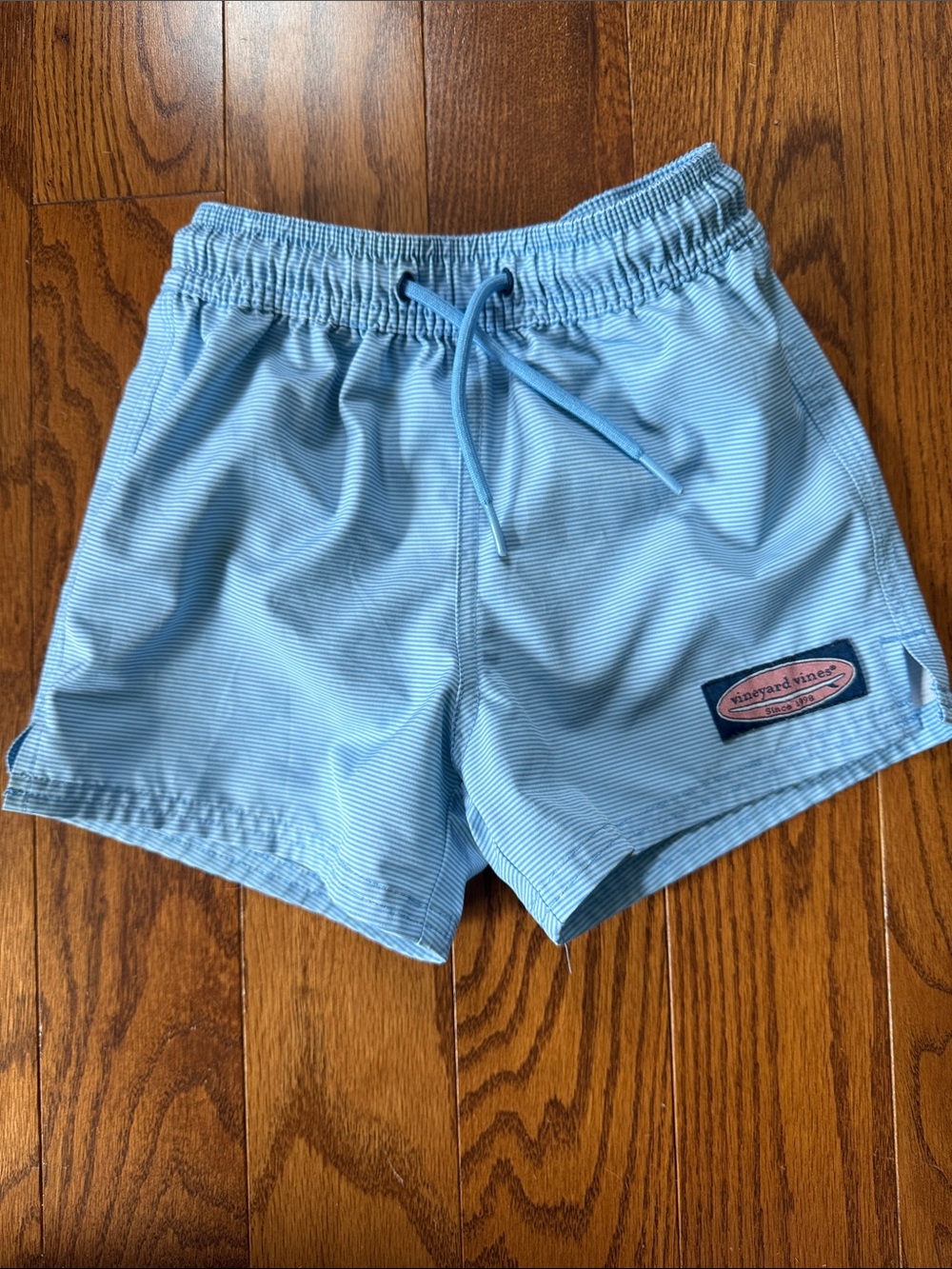 Vineyard Vines Pale Blue Striped Swim Shorts